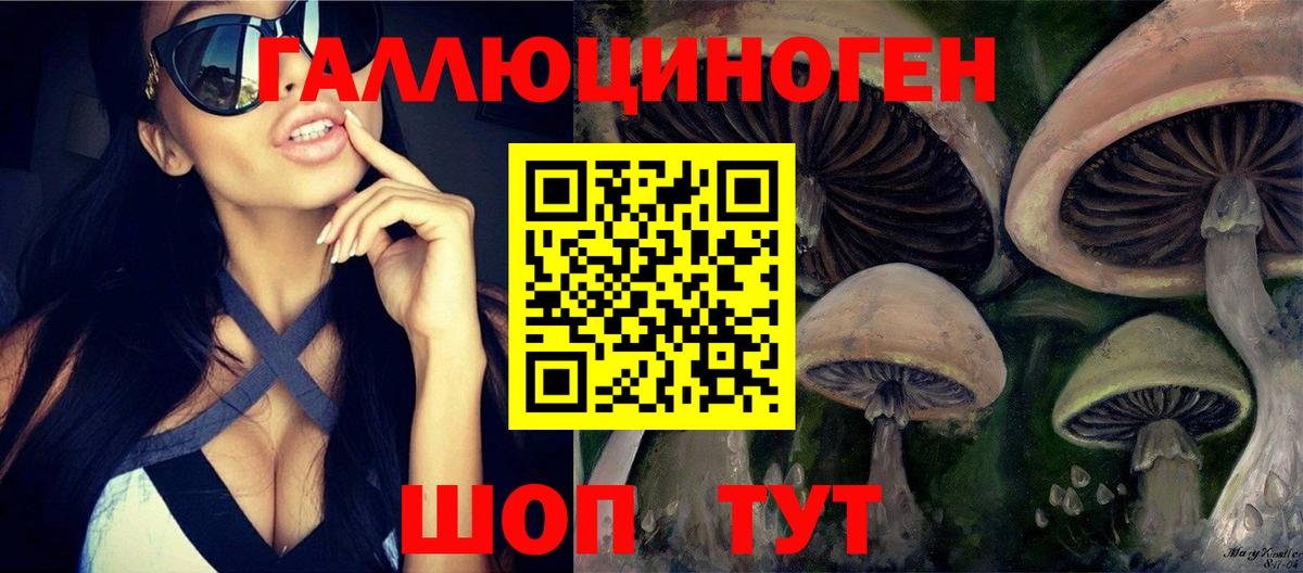 продажа наркотиков  Псилоцибиновые грибы мухоморы  Вход с VPN  Галлюциногенные грибы GOLDEN TEACHER  Аргун 
